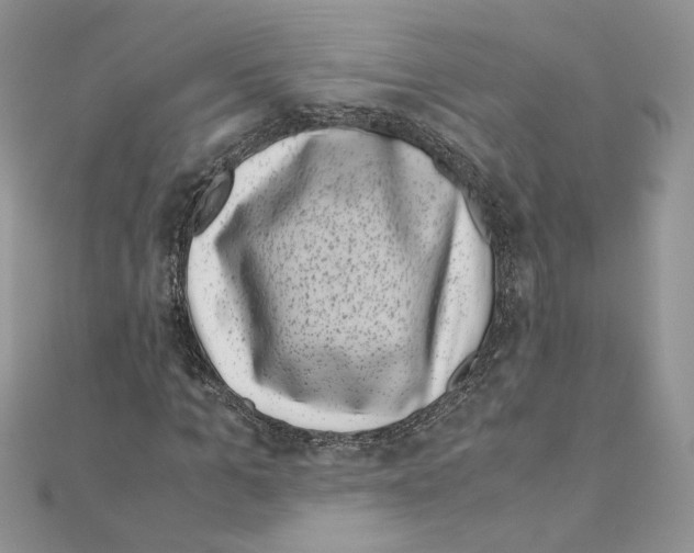 X0000111010965200907311048