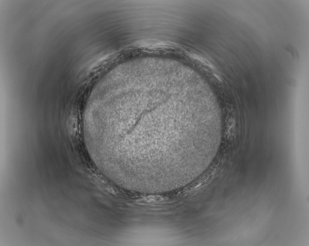 X0000111010966200907311048