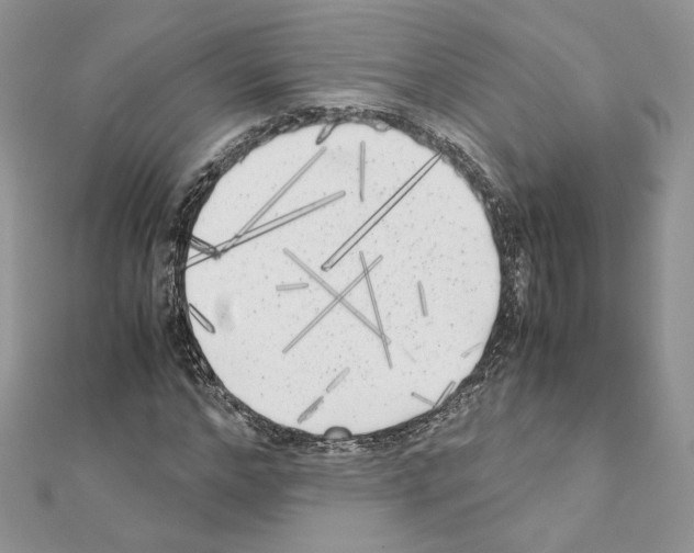 X0000111010968200907311048
