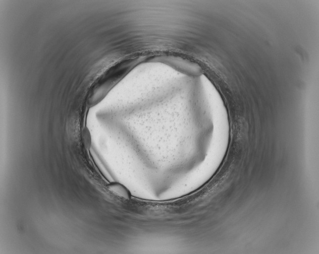 X0000111010969200907311048