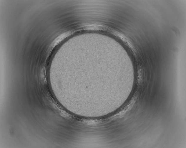 X0000111010970200907311048