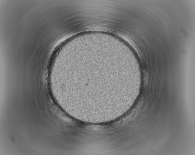 X0000111010971200907311048