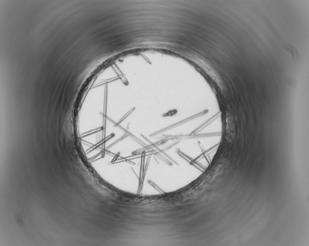 X0000111010972200907311048