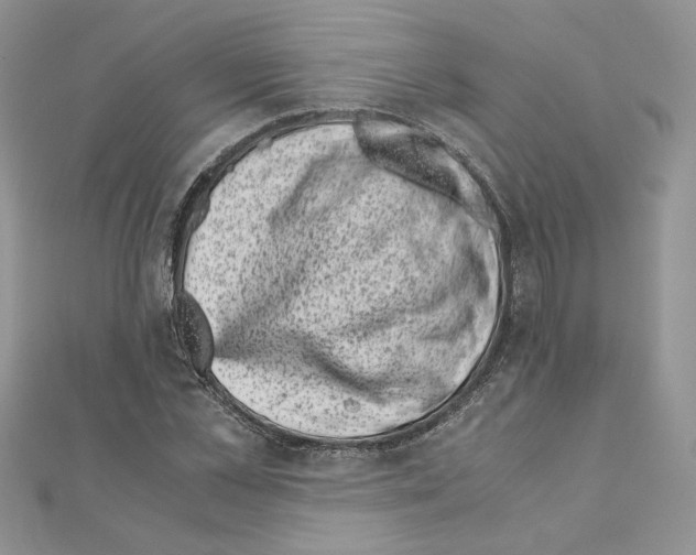 X0000111010973200907311048