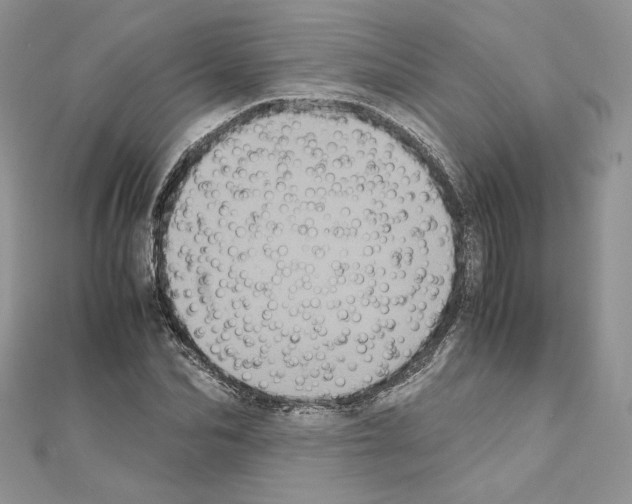 X0000111010974200907311048