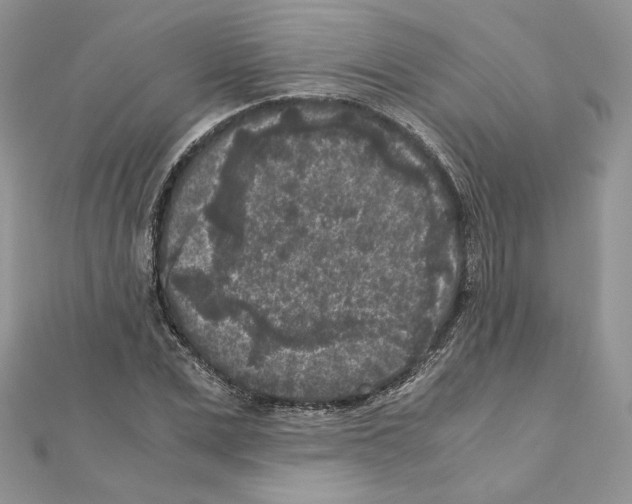 X0000111010975200907311048