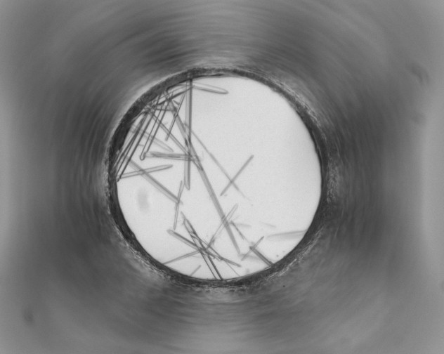 X0000111010976200907311048