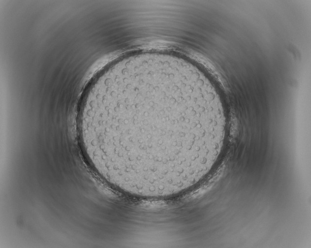 X0000111010978200907311048