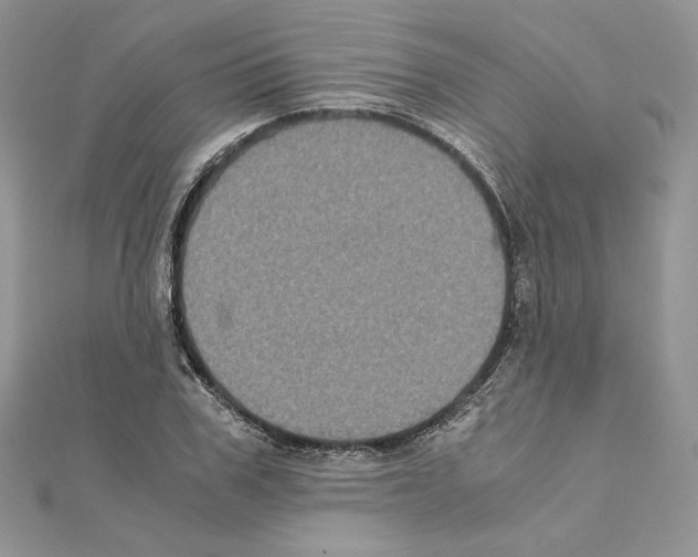 X0000111010979200907311048