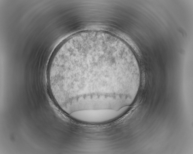 X0000111010980200907311048