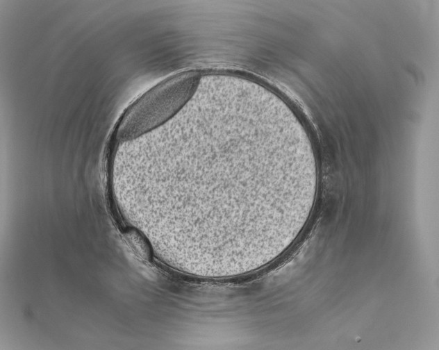 X0000111010981200907311048
