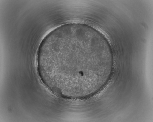 X0000111010983200907311048