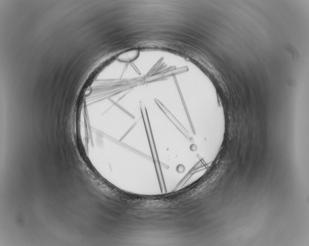 X0000111010984200907311048