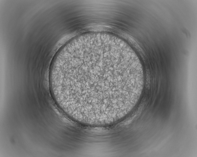 X0000111010986200907311048