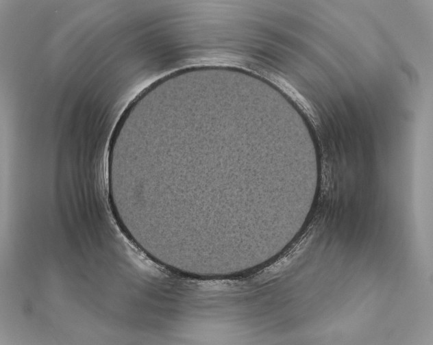 X0000111010988200907311048