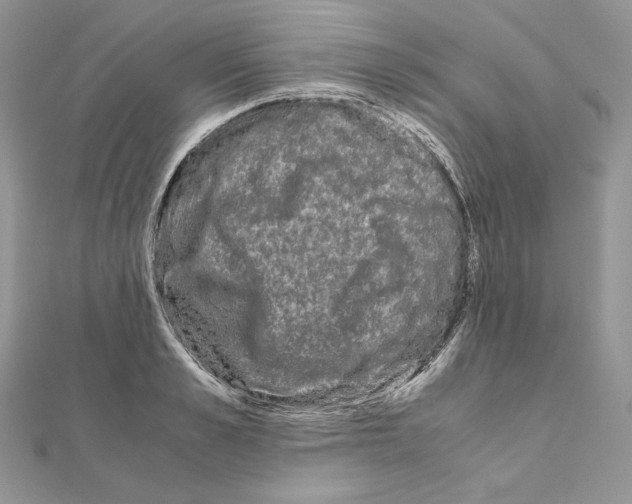 X0000111010989200907311048