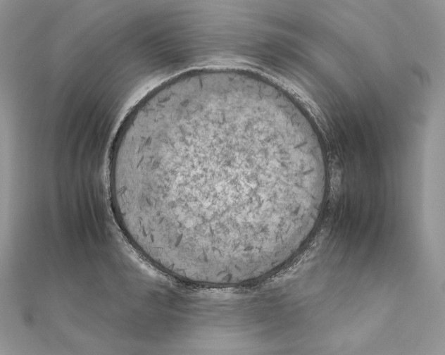 X0000111010990200907311048