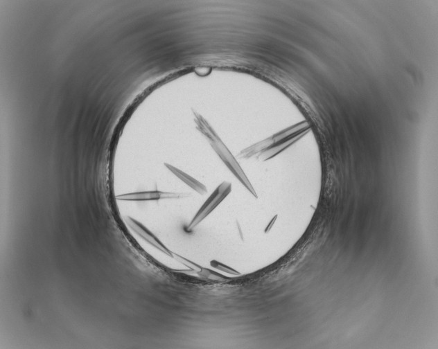 X0000111010992200907311048