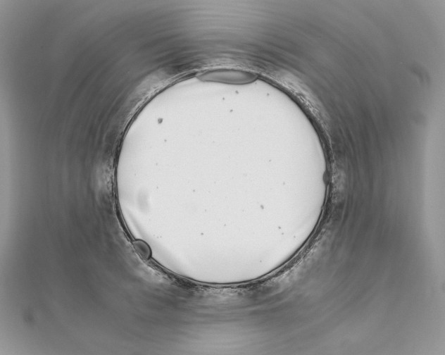 X0000111010993200907311048
