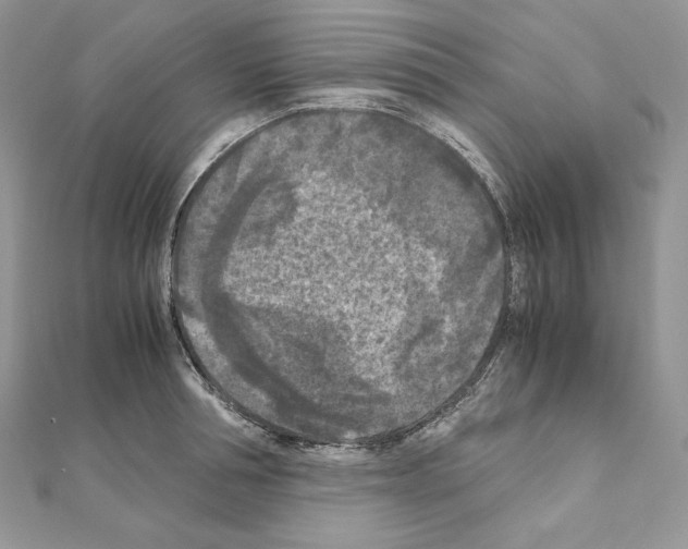 X0000111010994200907311048