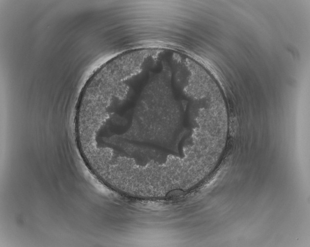 X0000111010995200907311048