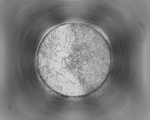 X0000111010996200907311048