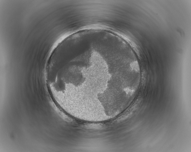 X0000111010998200907311048