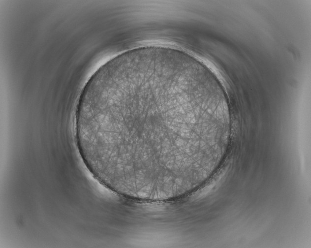 X0000111010999200907311048