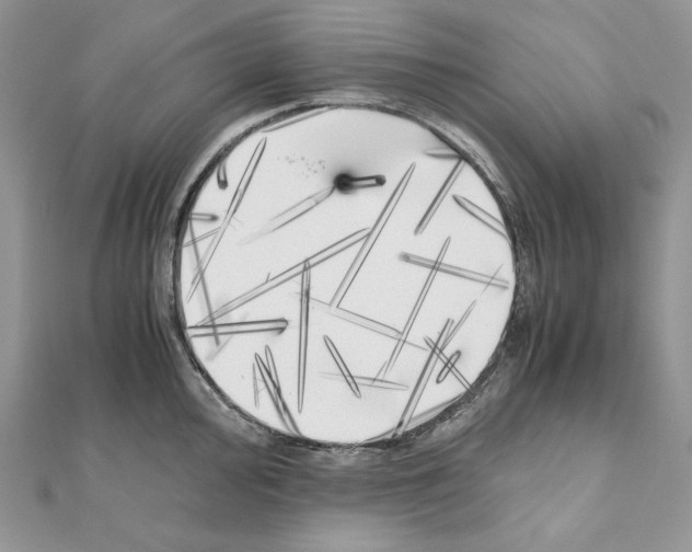 X0000111011000200907311048