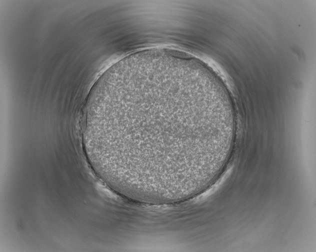 X0000111011001200907311048