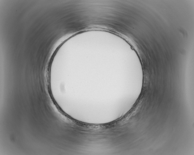 X0000111011003200907311048