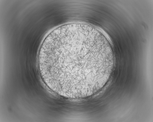 X0000111011004200907311048