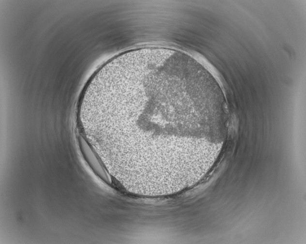 X0000111011005200907311048