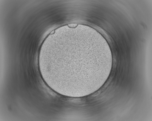 X0000111011006200907311048