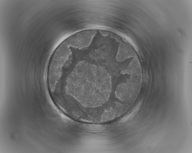 X0000111011007200907311048