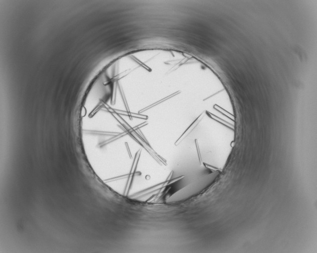 X0000111011008200907311048