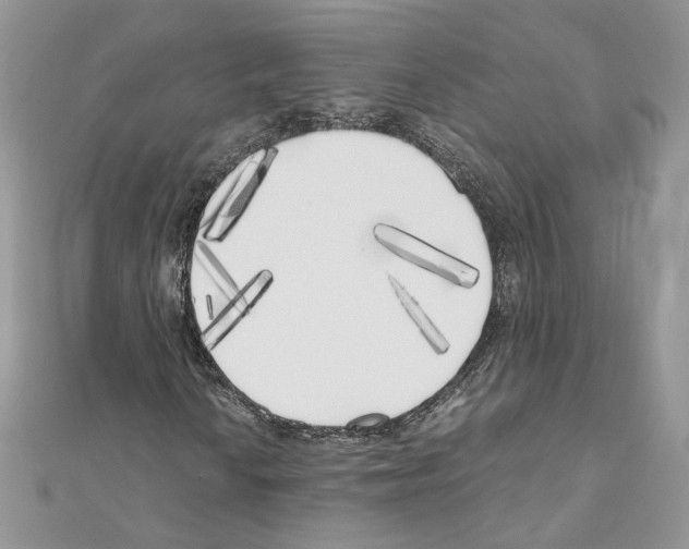 X0000111011010200907311047