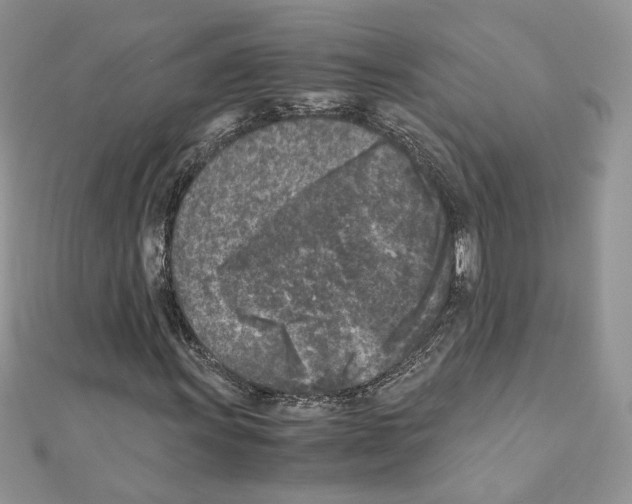 X0000111011011200907311047