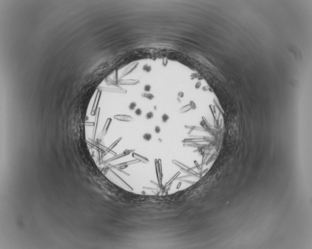 X0000111011014200907311047