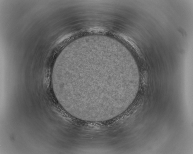 X0000111011015200907311047