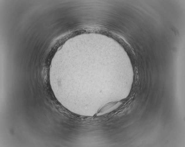 X0000111011016200907311047