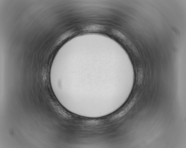 X0000111011017200907311047