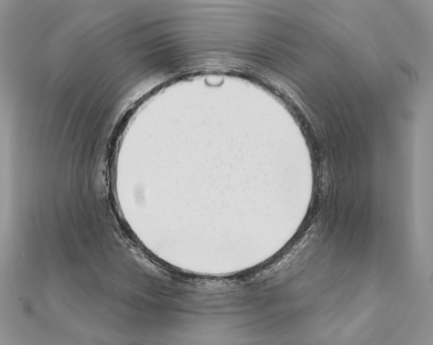 X0000111011018200907311047