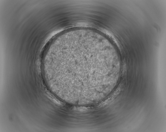 X0000111011019200907311047