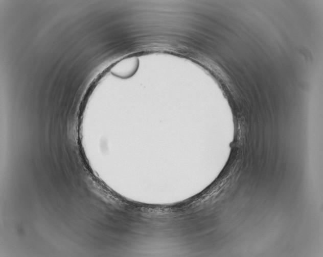 X0000111011020200907311047