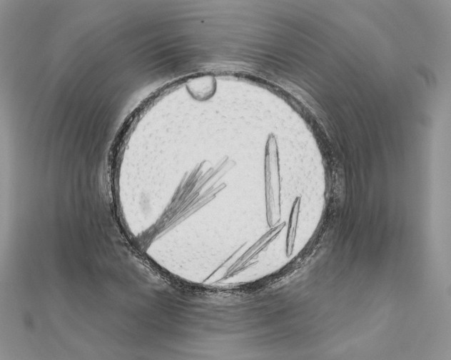 X0000111011022200907311047