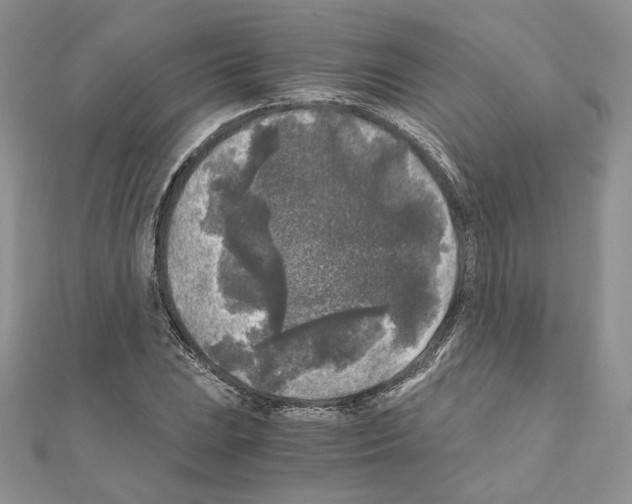 X0000111011023200907311047