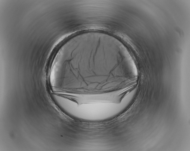 X0000111011024200907311047