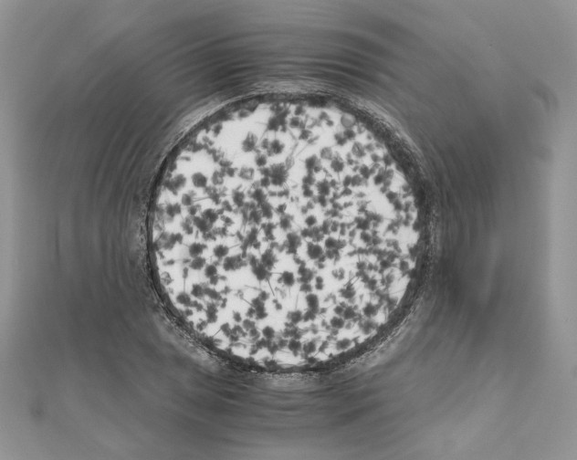 X0000111011025200907311047
