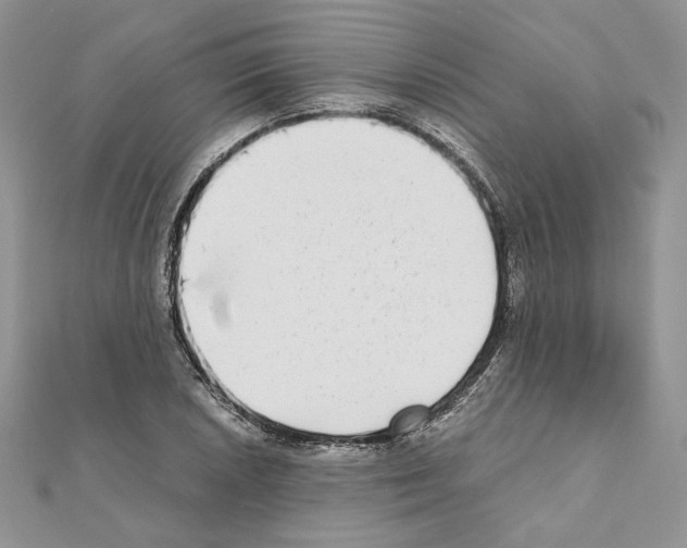 X0000111011026200907311047